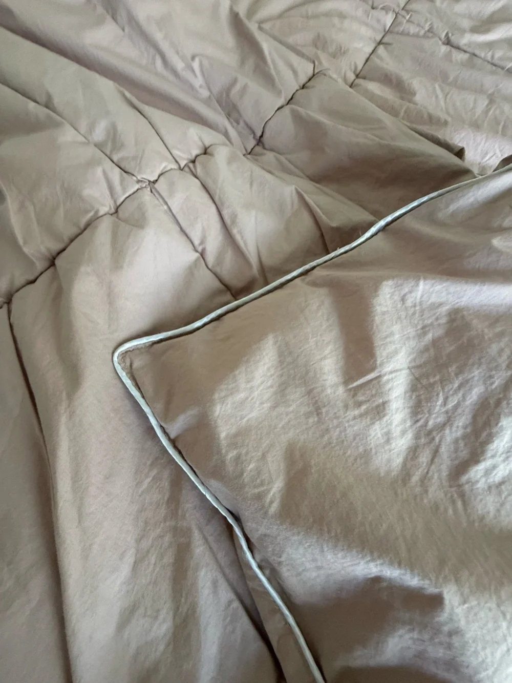 Pink Pillow Gal Down Alternative Comforter